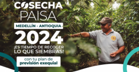 Cosecha Paisa 2024