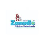 Zamudio_Clinica_Veterinaria