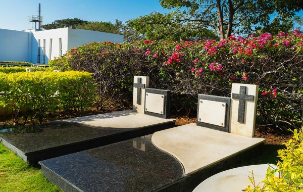 Lote Jardín