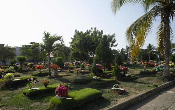 Lote - Cartagena